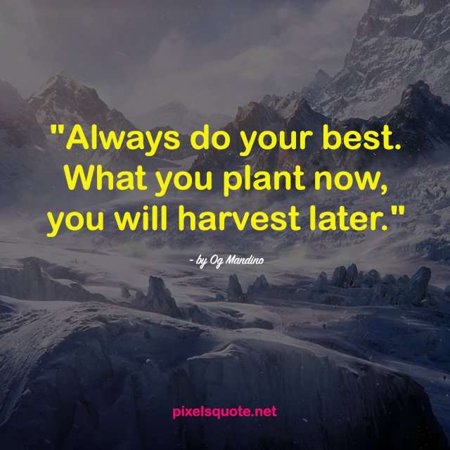 "Always Do Your Best. What You Plant Now, You Will Harvest Later."